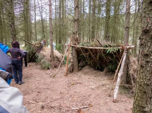 Zwei selbstgebaute Notunterkünfte aus Ästen und Zweigen im Wald