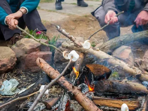 Zwei Stockspieße mit Marshmallows über einem kleinen Bodenfeuer