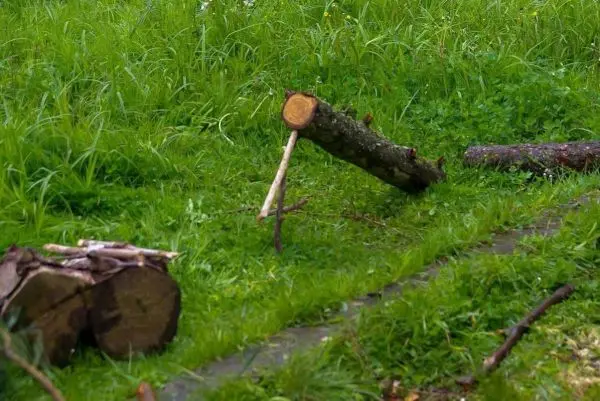 Ein Baumstamm liegt auf dem Gras neben einem aufgestellten Stock