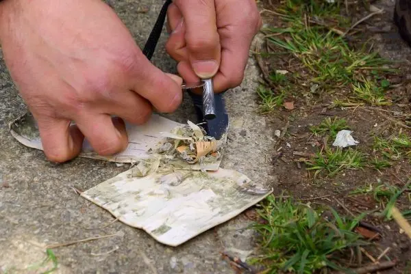 Feuerstahl erzeugt Funken auf Zunder aus Rinde