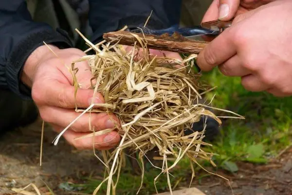 Hände halten trockenes Gras und Holzstück zum Feuermachen