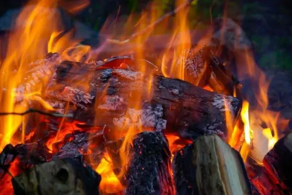 Kleine Flamme mit glühenden Holzscheiten im Feuer