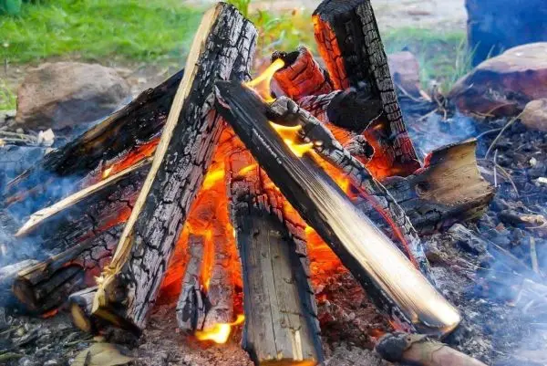 Kleine Flamme zwischen brennenden Holzscheiten im Lagerfeuer