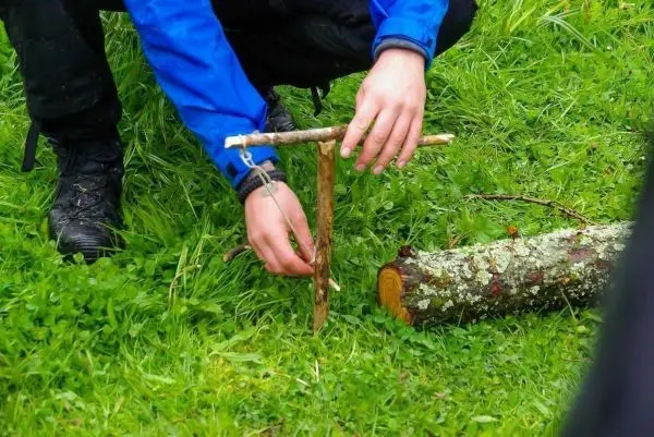 Person baut eine einfache Falle aus Ästen im Gras