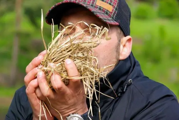 Person hält eine Handvoll trockenes Gras vor das Gesicht