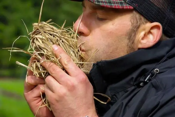 Person hält eine Kugel aus Gras und bläst hinein