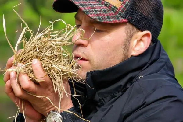 Zunder wird in den Händen gehalten und vorbereitet