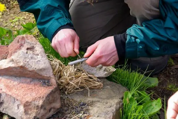 Zunder wird mit einem Messer bearbeitet
