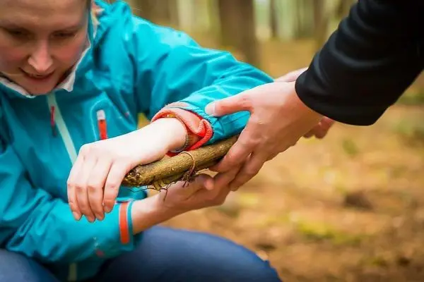 Hände halten einen Stock, während eine Person eine Verletzung behandelt