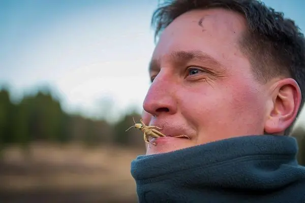 Mann mit einem Insekt im Mundbereich trägt einen grauen Fleece-Pullover