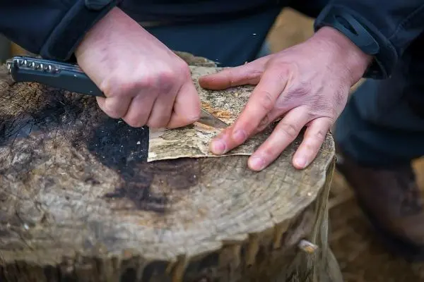Messer schabt Rinde von einem Holzstück auf einem Baumstumpf