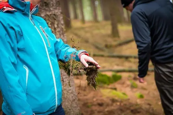 Person hält Moos in der Hand und steht im Wald