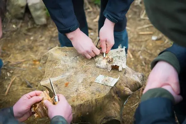 Zunder wird mit einem Messer von Rinde abgezogen