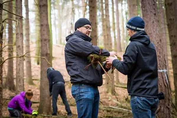 Zwei Personen halten Äste und besprechen sich im Wald, im Hintergrund arbeitet eine dritte Person
