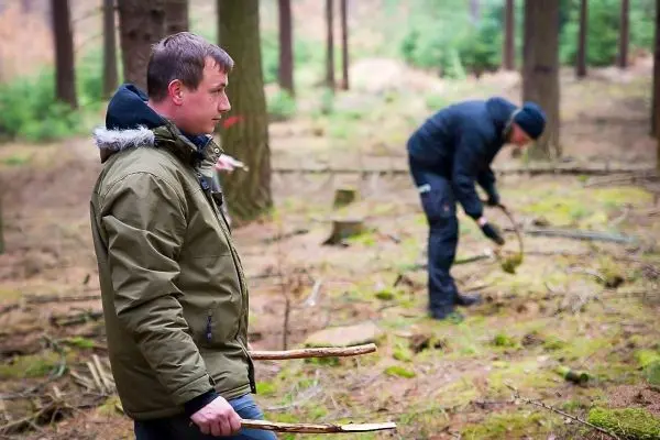 Zwei Personen sammeln Äste im Wald, einer hält zwei Holzstücke in der Hand