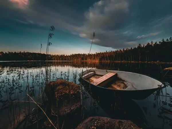 Ein Boot liegt an einem Ufer mit Steinen und Schilf am See