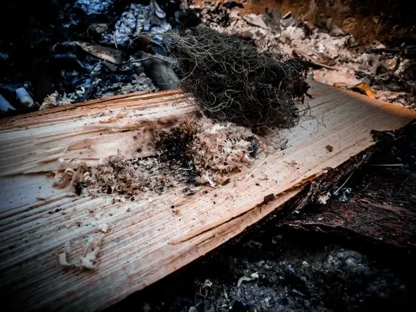 Zunder und Holzspäne liegen auf einem Holzbrett, leicht verkohlt