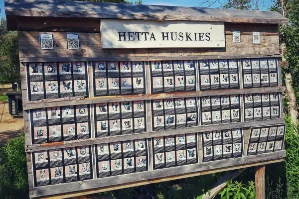 Holztafel mit Informationen über Huskys und Bildern der Hunde
