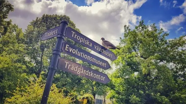 Wegweiser mit mehreren Richtungen und einer Taube auf einem Pfosten