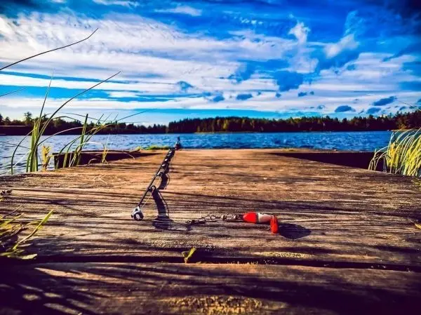 Anglerute liegt auf einem Holzsteg am Wasser, umgeben von Gras