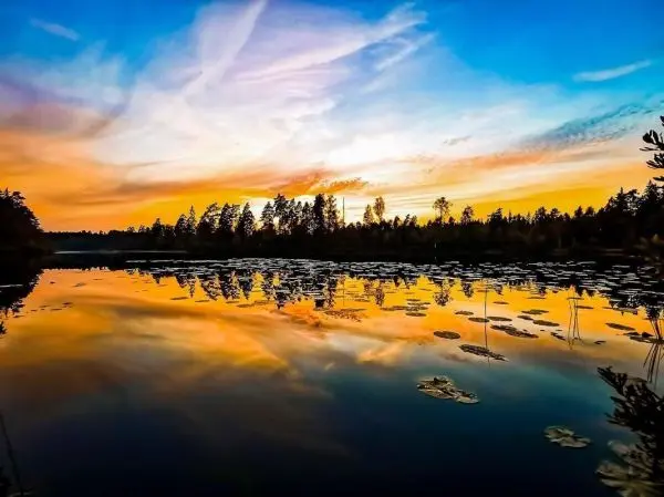 Blick auf einen See mit Seerosen und reflektierendem Sonnenuntergangshimmel