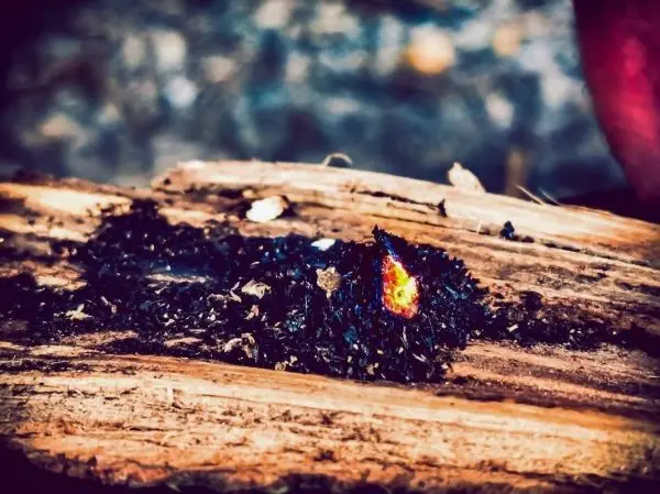 Glut auf einem Holzstück mit dunklem Material daneben