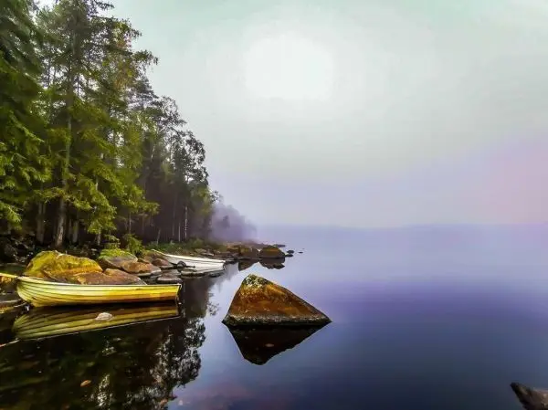 Ruderboot liegt am Ufer eines ruhigen Sees, umgeben von Bäumen und Nebel