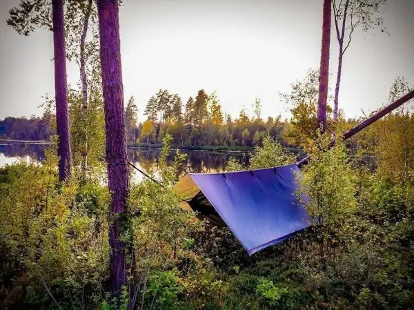 Tarp-Notunterkunft zwischen Bäumen am Ufer eines Gewässers