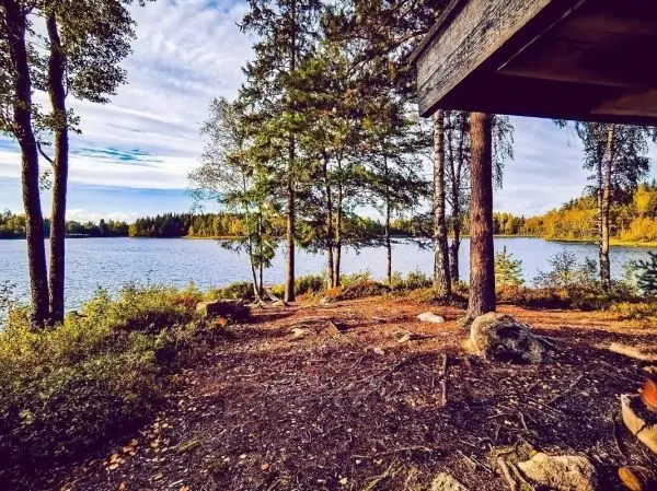 Uferbereich mit Bäumen und Steinen, Blick auf ruhigen See und bewaldete Landschaft