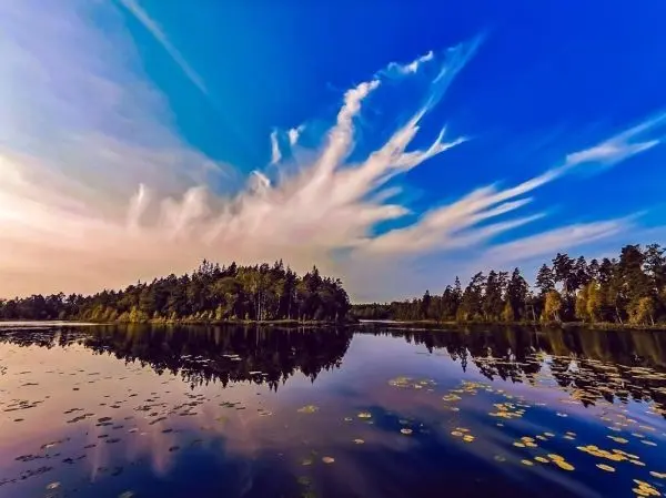 Wasserfläche spiegelt bewaldete Ufer und wolkenverhangenen Himmel wider