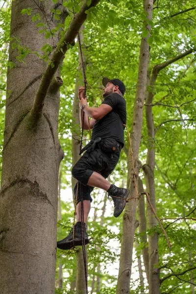 Kletterseil wird an Baumstamm befestigt, während eine Person hochsteigt