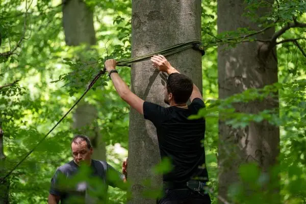Person befestigt Seil an Baumstamm im Wald