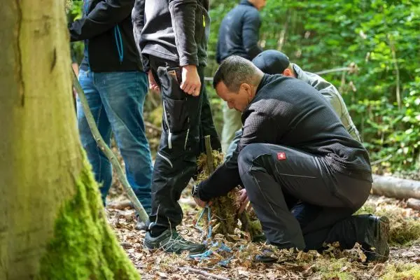 Person bindet Seile um einen Baumstamm im Wald