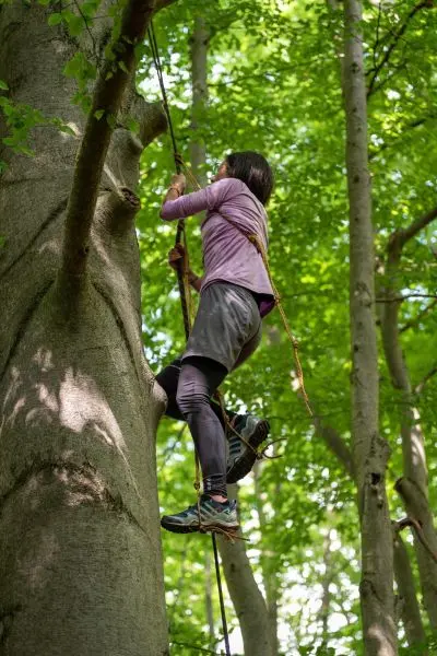 Person klettert an einem Baum hoch