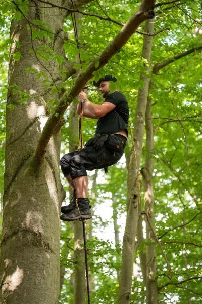Person klettert an einem Seil einen Baum hoch