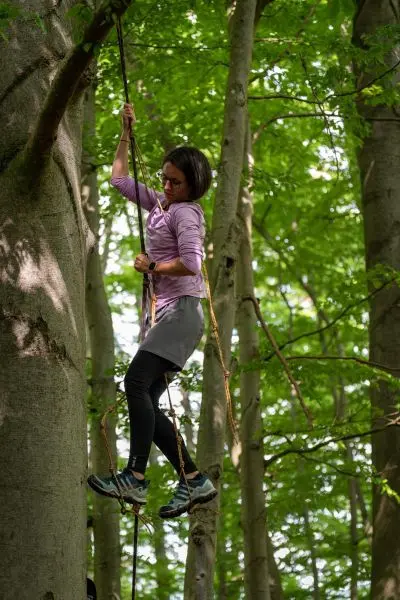 Seiltechnik wird an einem Baumstamm zur Fortbewegung genutzt