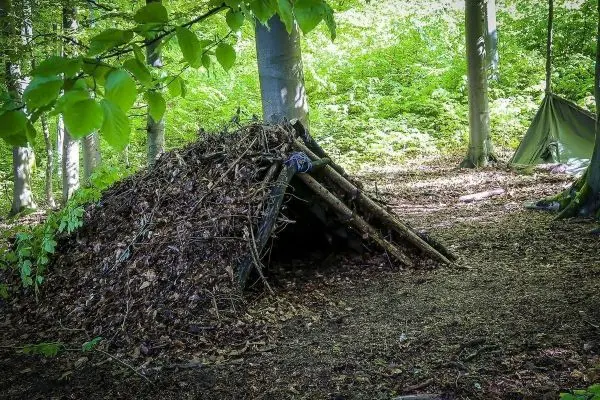Laubhütte aus Ästen und Blättern im Wald