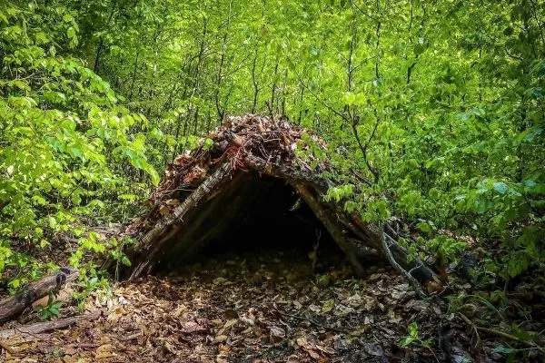 Laubhütte aus Ästen und Blättern im Wald