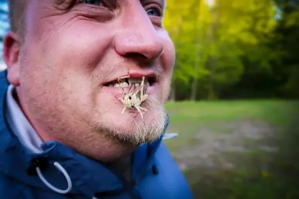 Person hat eine Heuschrecke im Mund