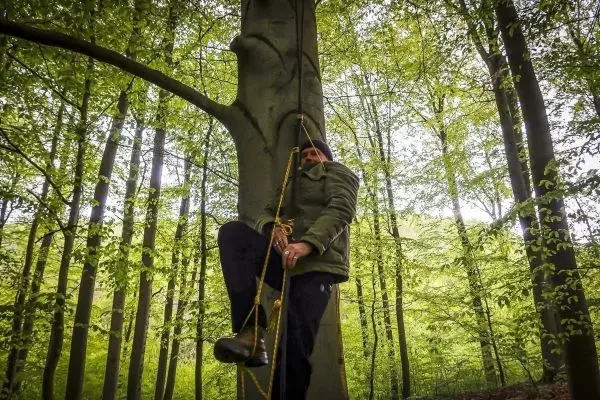 Person klettert an einem Baum mit einem Seil hoch