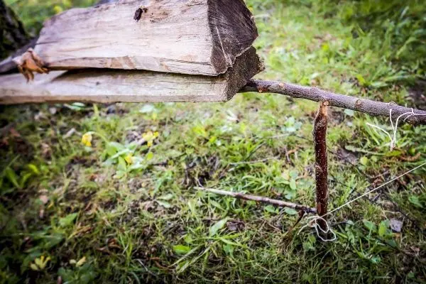 Selbstgebaute Schlingenfalle aus Holz und Schnur auf dem Boden