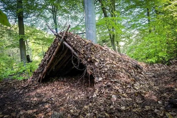 Tarp-Notunterkunft aus Ästen und Laub im Wald