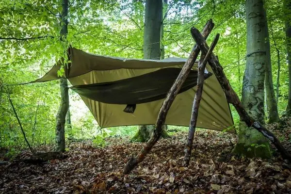 Tarp-Notunterkunft hängt zwischen zwei Bäumen, gestützt von Holzstöcken
