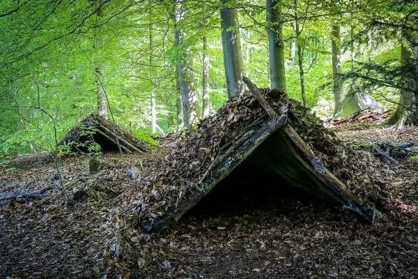 Zwei Laubhütten aus Ästen und Blättern im Wald