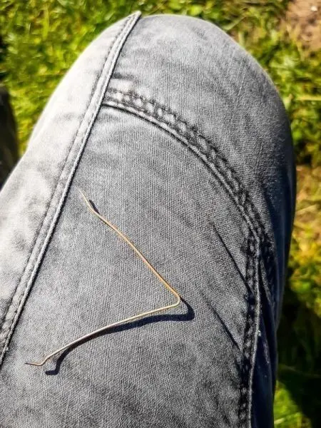 Drahtstück liegt auf grauer Jeanshose im Gras