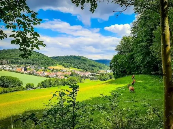 Grüne Wiese mit drei Rehen im Vordergrund, Blick auf ein Dorf und Hügel im Hintergrund