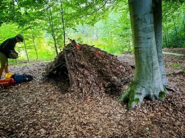 Holzhütte aus Laub und Ästen neben einem Baum im Wald