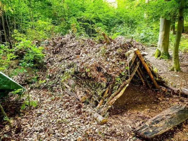 Laubhütte aus Ästen und Blättern in einem Waldgebiet