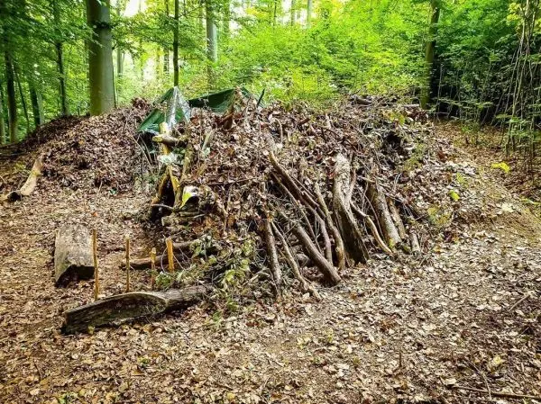 Laubhütte aus Ästen und Blättern in einem Waldgebiet