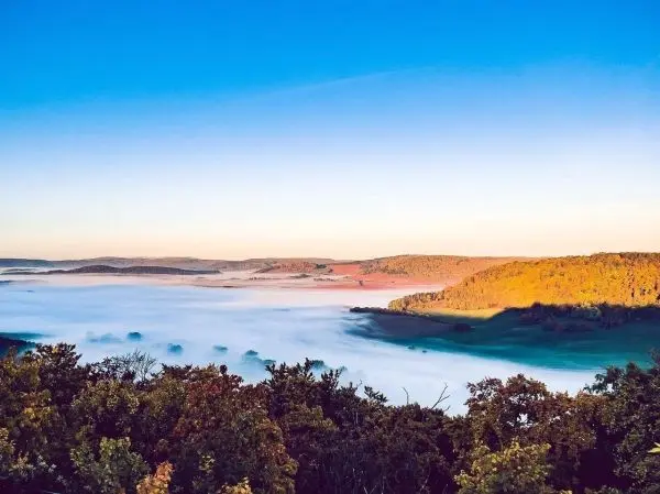 Blick auf eine neblige Landschaft mit sanften Hügeln und Bäumen im Vordergrund